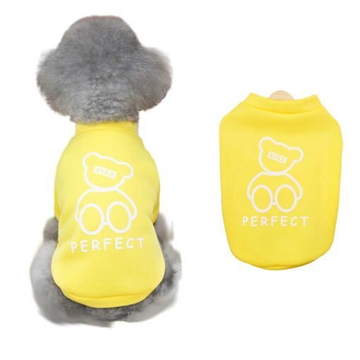 Bluza Flausata, Perfect, Galbena #HC1385