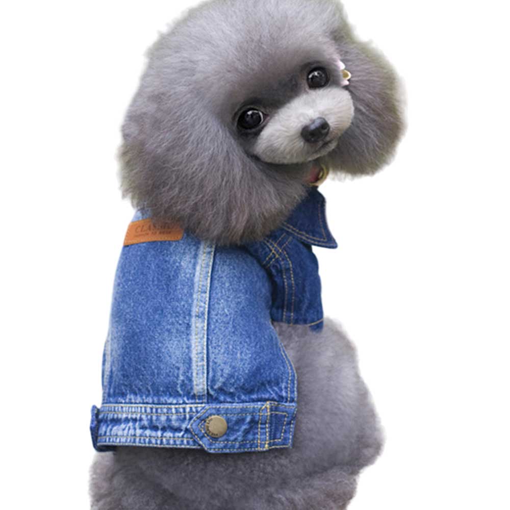 Geaca de blugi #HC1733 - imagine 2