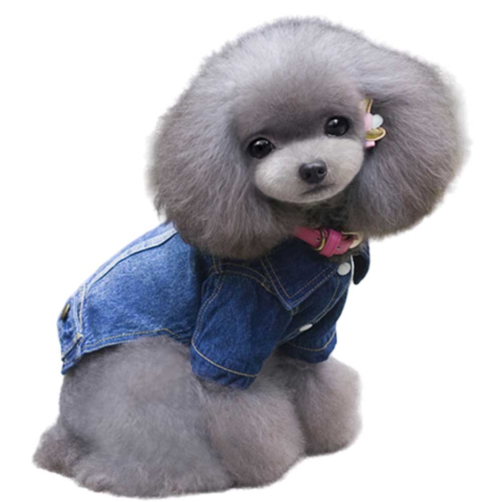 Geaca de blugi #HC1733 - imagine 4