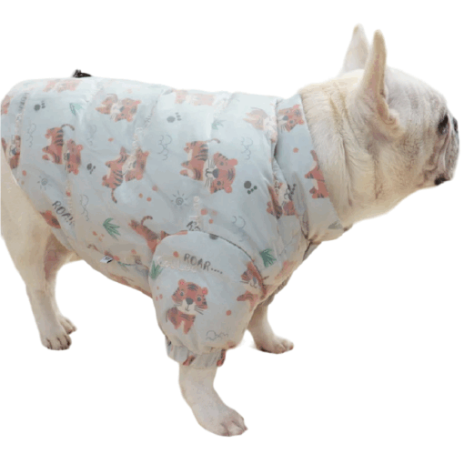 Geaca Bulldog, Bufanta #HC1840