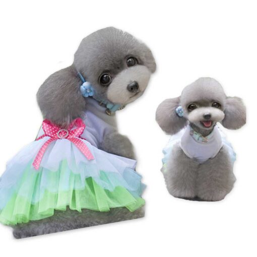 Rochita pentru Catei #HC1169