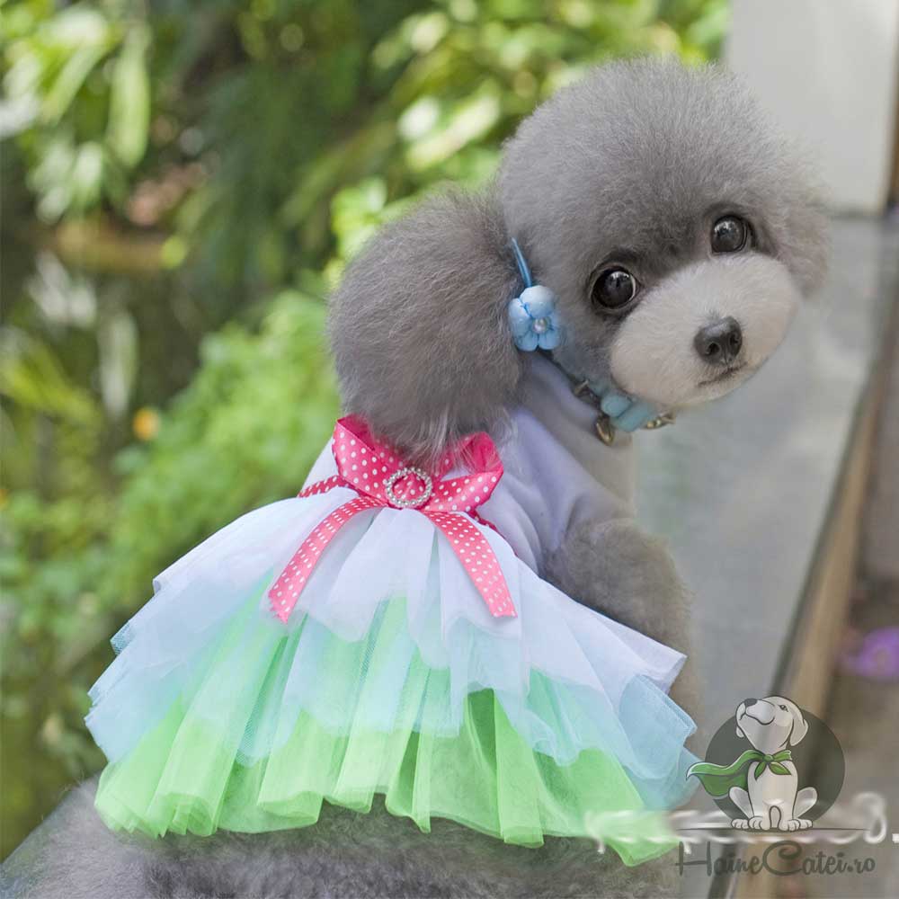 Rochita pentru Catei #HC1169 - imagine 2