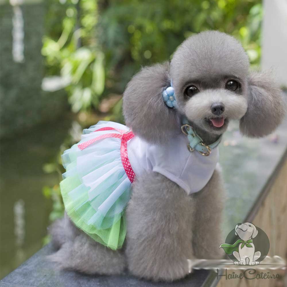 Rochita pentru Catei #HC1169 - imagine 3