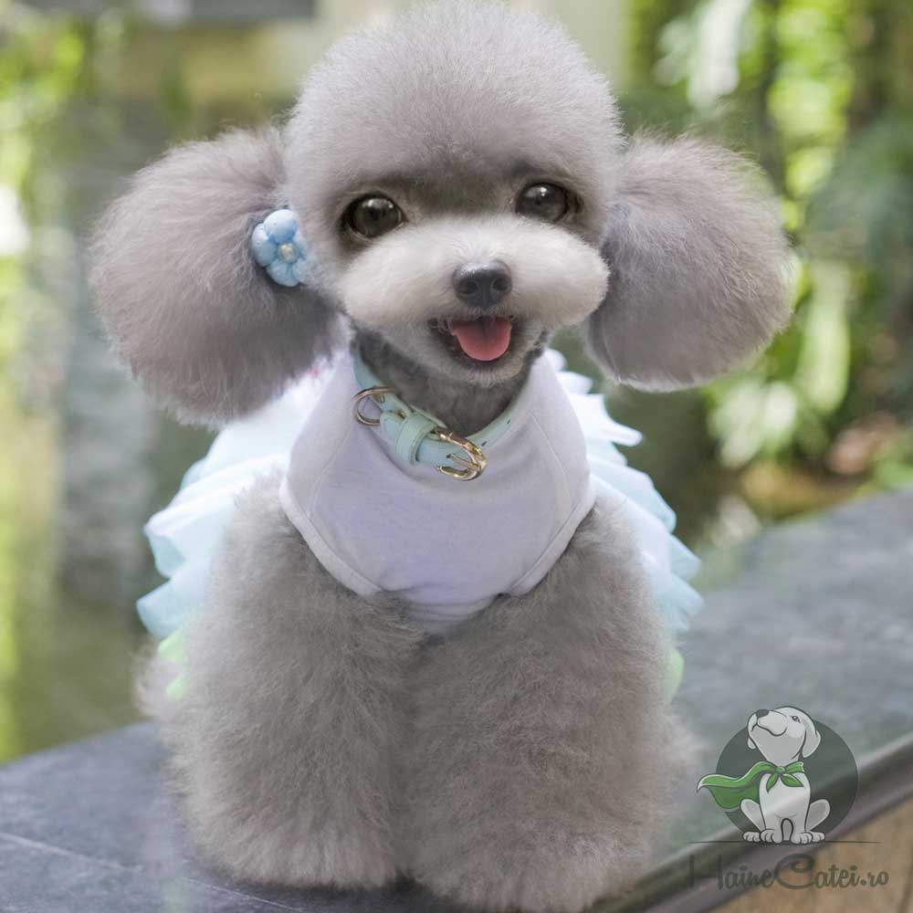 Rochita pentru Catei #HC1169 - imagine 4