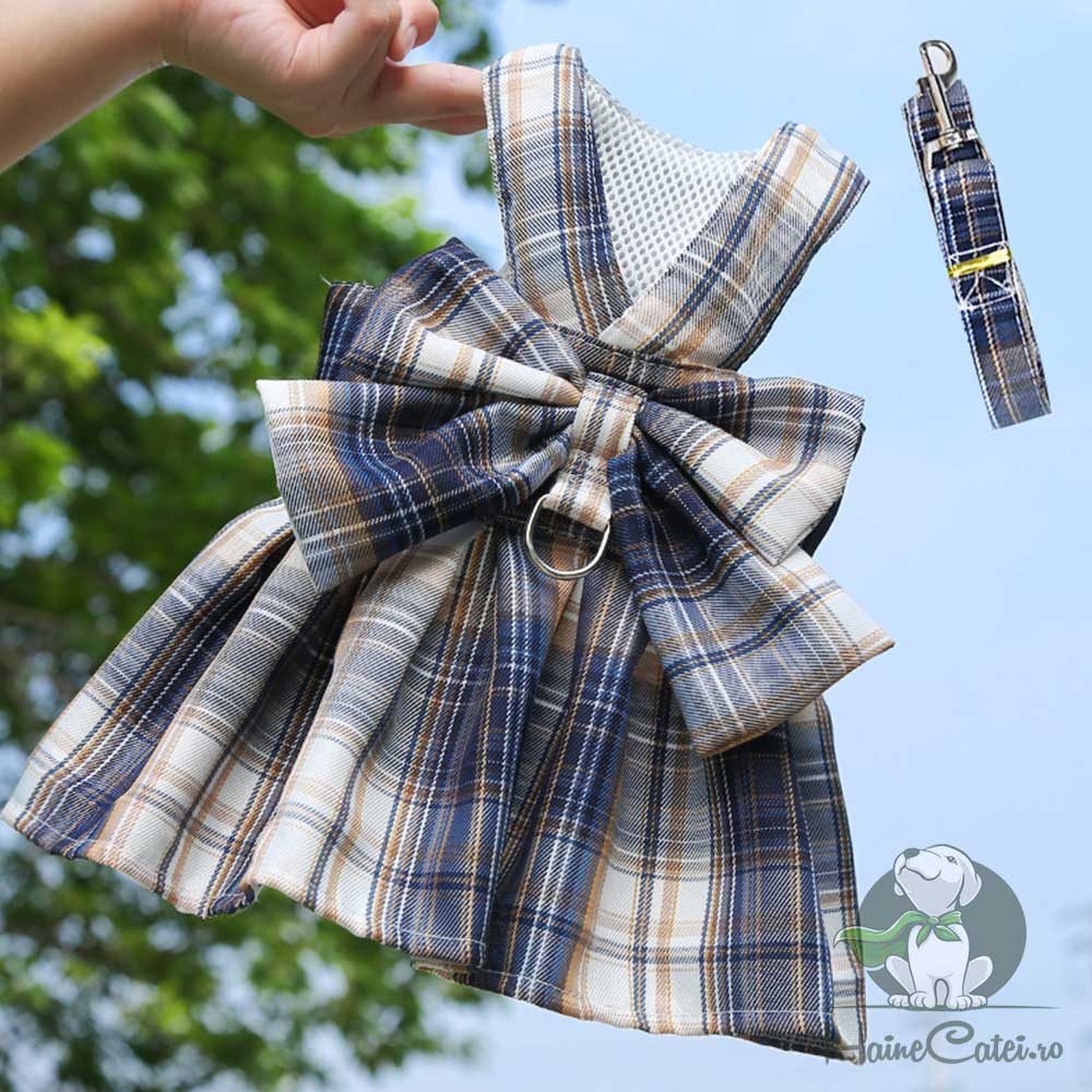 Rochita tip Ham + Lesa - Albastra #HC1246 - imagine 3