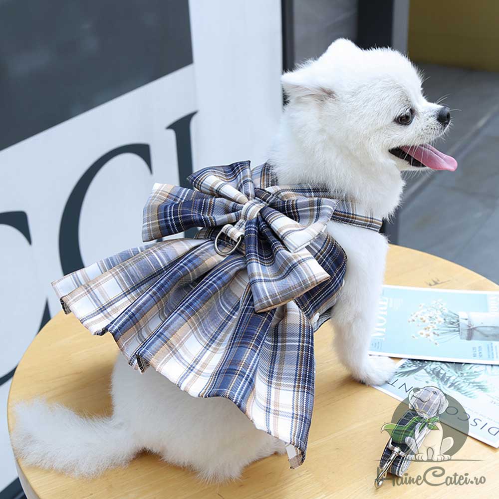 Rochita tip Ham + Lesa - Albastra #HC1246 - imagine 2