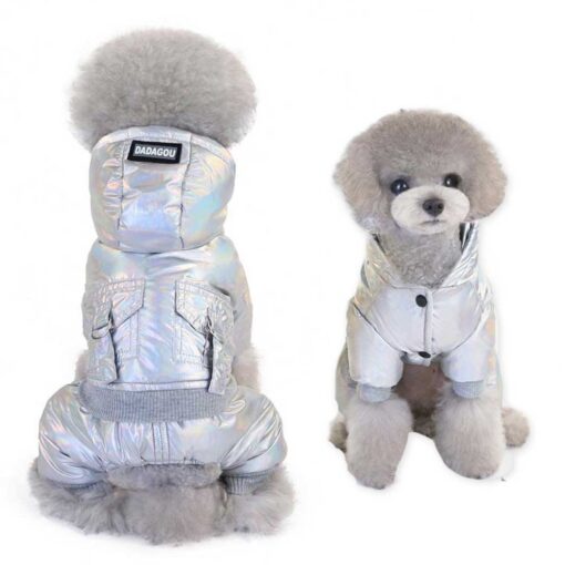 Salopeta Argintie Imblanita, Impermeabila, Gluga #HC218