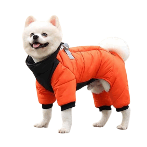 Salopeta Matlasata, Impermeabila, Inel pentru Lesa - Portocalie #HC1943