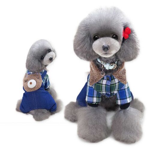 Salopeta De Blugi, Imblanita #HC171