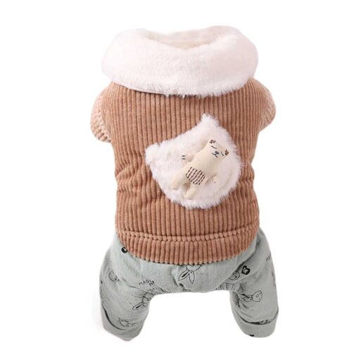 Salopeta imblanita, Maro #HC450