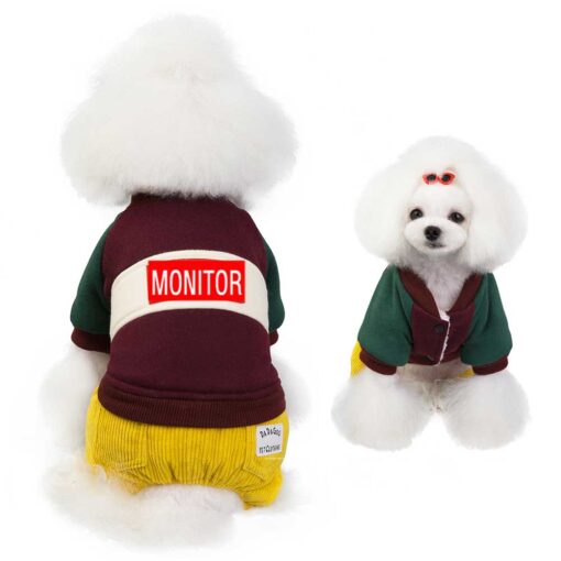 Salopeta imblanita - Monitor #HC789