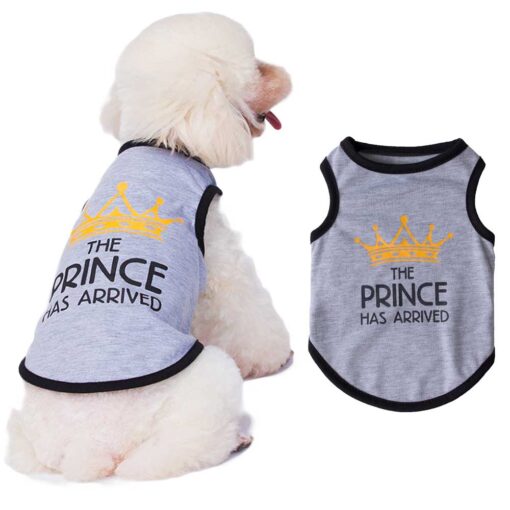 Tricou pentru catei - Prince, Gri #HC1104