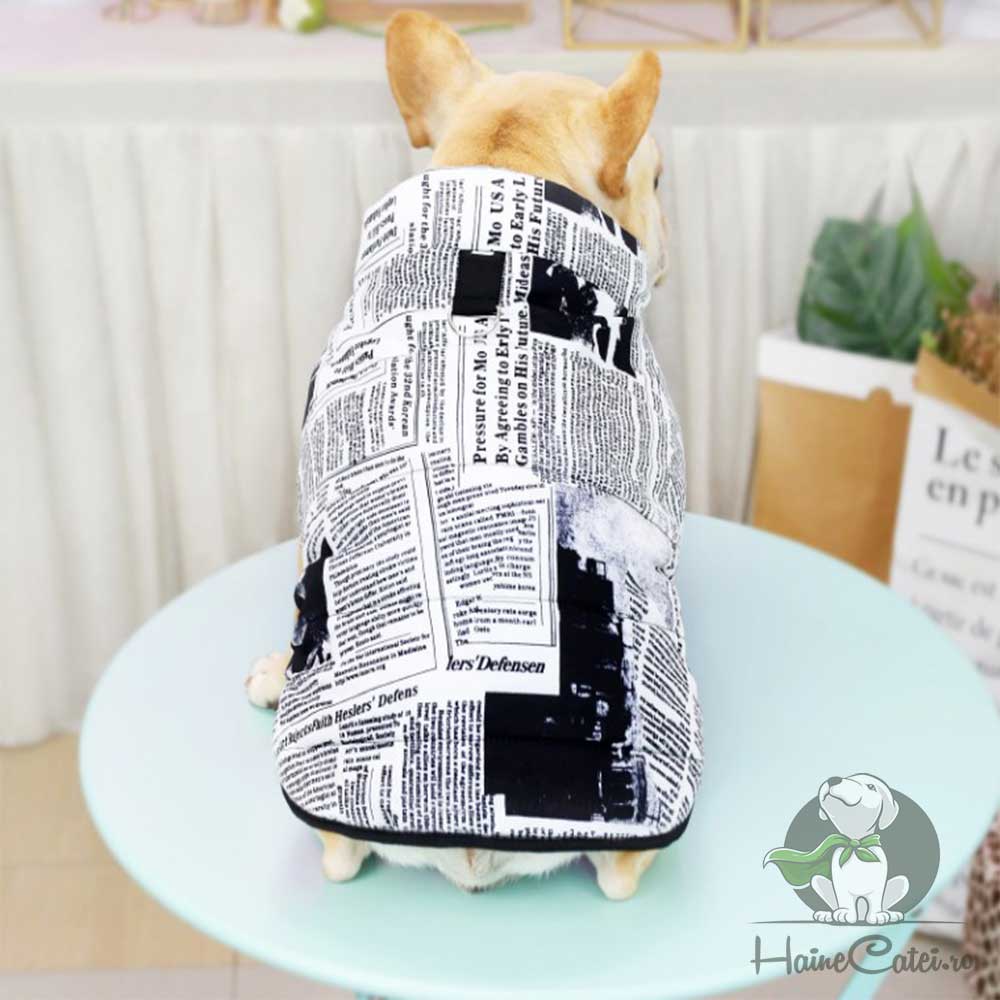 Vesta Bulldog, imblanita #HC768 - imagine 3