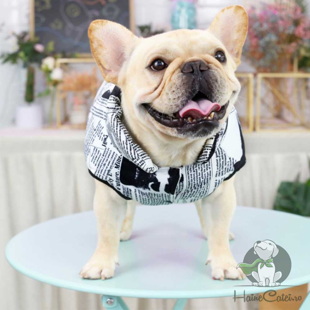 Vesta Bulldog, imblanita #HC768 - imagine 4