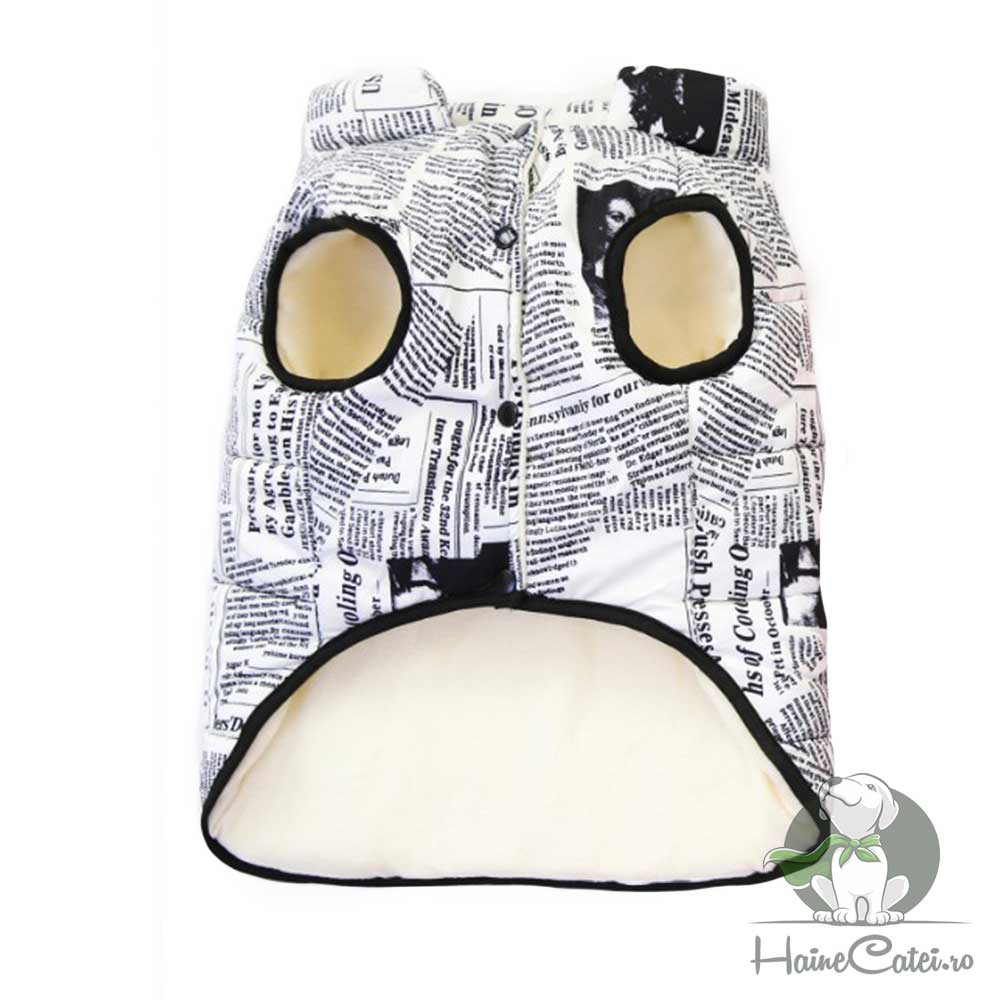 Vesta Bulldog, imblanita #HC768 - imagine 5