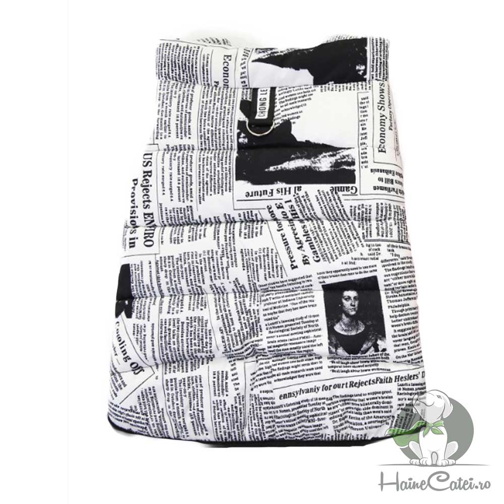 Vesta Bulldog, imblanita #HC768 - imagine 6