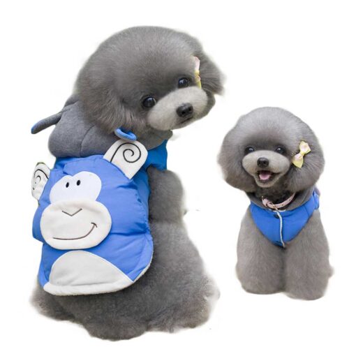 Vesta imblanita, Albastra - Maimutica #HC442