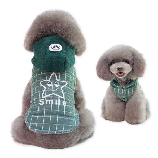 Vesta imblanita, Verde, Smile #HC275