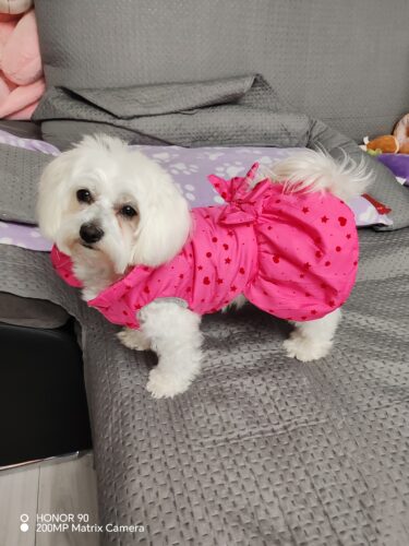 Rochita imblanita cu inel pentru lesa, Roz inchis #HC1333 photo review