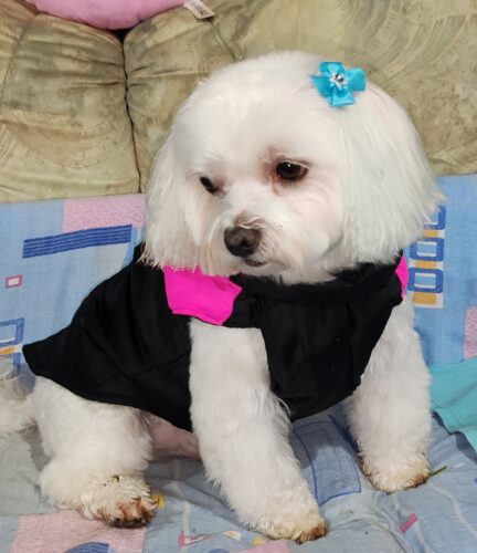 Vesta impermeabila - Roz/Negru #HC914 photo review