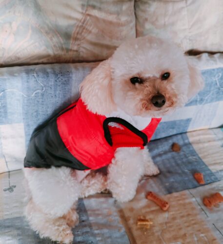 Vesta impermeabila, alb/rosu/negru #HC004 photo review