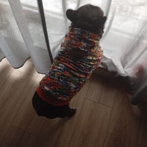 Hanorac Bulldog #HC383 photo review