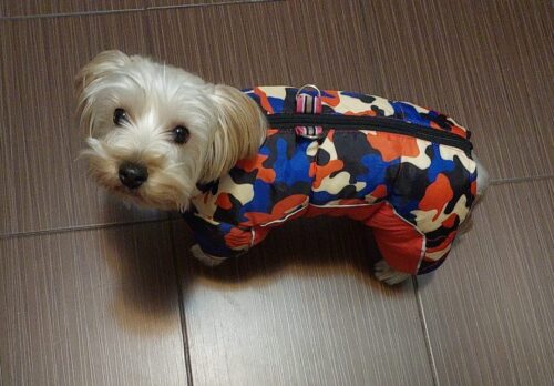 Salopeta Full Body - Impermeabila - Military/Rosu #HC345 photo review