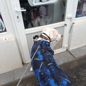 Vesta caini talie mare, impermeabila #HM119 photo review