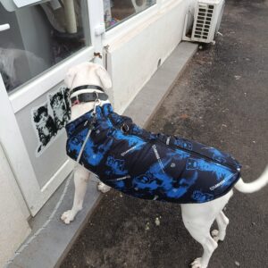 Vesta caini talie mare, impermeabila #HM119 photo review