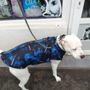 Vesta caini talie mare, impermeabila #HM119 photo review