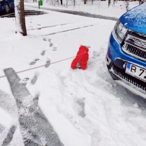 Salopeta rosie, imblanita, impermeabila #HC183 photo review