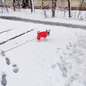 Salopeta rosie, imblanita, impermeabila #HC183 photo review