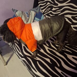 Geaca impermeabila, Roz/Alb/Roz inchis #HC859 photo review