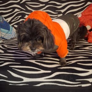 Geaca impermeabila, Roz/Alb/Roz inchis #HC859 photo review