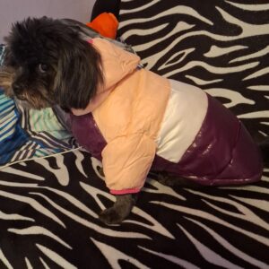 Geaca impermeabila, Roz/Alb/Roz inchis #HC859 photo review