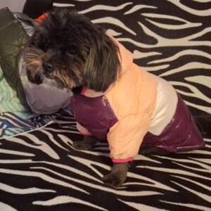 Geaca impermeabila, Roz/Alb/Roz inchis #HC859 photo review