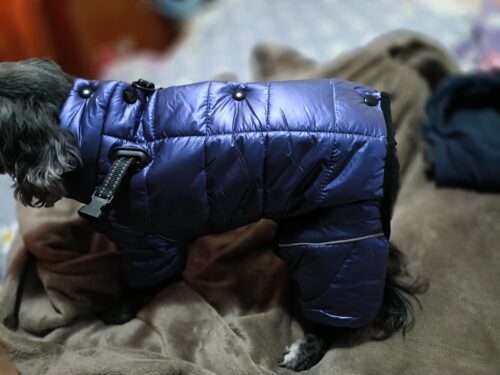 Salopeta Imblanita, Impermeabila, Inel Pentru Lesa HC1758-1764 photo review