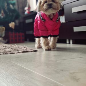 Salopeta cu Ham – Matlasata, Impermeabila - Roz #HC1484 photo review