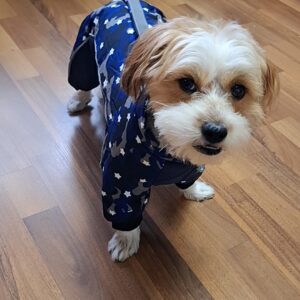 Salopeta Full Body – Imblanita, Impermeabila - Albastra Stelute #HC1474 photo review