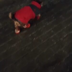 Papuci imblaniti, Portocalii, #P17 photo review