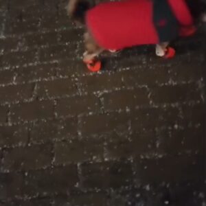 Papuci imblaniti, Portocalii, #P17 photo review