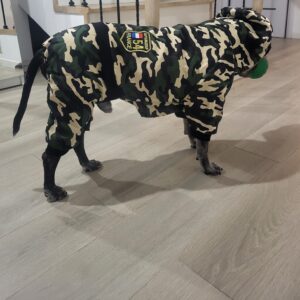 Salopeta caini talie mare cu gluga, imblanita - Military #HM050 photo review