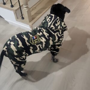 Salopeta caini talie mare cu gluga, imblanita - Military #HM050 photo review