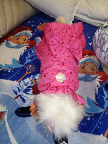 Rochita imblanita cu inel pentru lesa, Roz inchis #HC1333 photo review