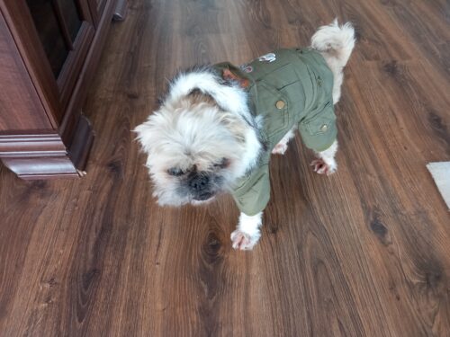 Salopeta Stockriders, gluga, imblanita, verde, #HC074 photo review