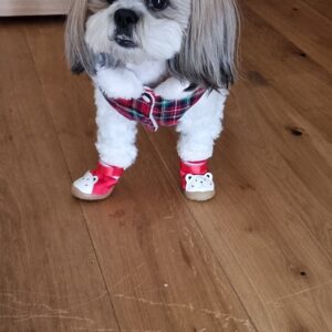 Rochita Eleganta, Imblanita, Inel pentru lesa #HC1956 photo review