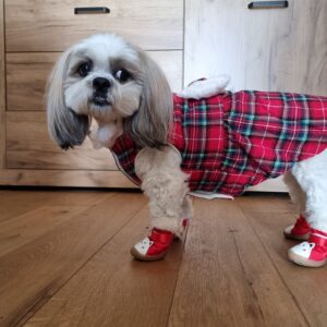 Rochita Eleganta, Imblanita, Inel pentru lesa #HC1956 photo review