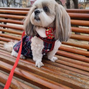 Rochita Eleganta, Imblanita, Inel pentru lesa #HC1955 photo review