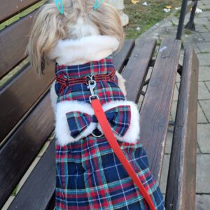 Rochita Eleganta, Imblanita, Inel pentru lesa #HC1955 photo review