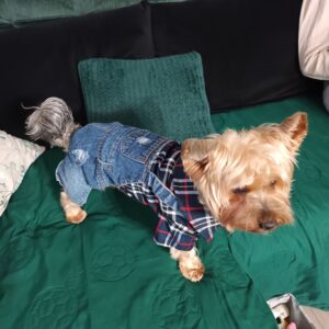 Salopeta cu gluga, Imblanita, Impermeabila, Inel pentru lesa, Neagra #HC1589 photo review